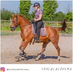 Best - Tapis de dressage Velvet Parme Dressage|Tapis De Dressage