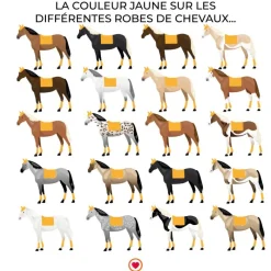 Dressage|Tapis De Dressage*Kentucky Horsewear - Tapis de dressage Velvet Moutarde Jaune