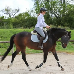 Tapis Cso/ Mixtes|Tapis De Selle*Kentucky Horsewear - Tapis de selle Laine bleu clair BleuVarianteCheval/ Poney D / Bleu - 79,99€