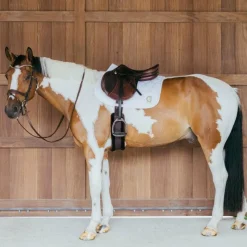 Tapis Cso/ Mixtes|Tapis De Selle*Kentucky Horsewear - Tapis de selle Wave jumping 3D logo Blanc