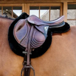 Tapis De Hunter|Tapis De Selle*Kentucky Horsewear - Tapis de hunter mouton Noir