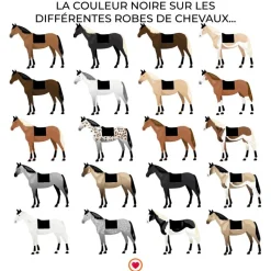 Online - Tapis de dressage Glitter Rope noir Dressage|Tapis De Dressage