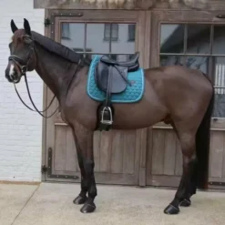 Discount - Tapis de dressage Melange emeraude Tapis De Dressage|Dressage