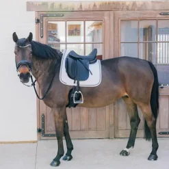 Discount - Tapis de dressage Metal Chain Dressage|Tapis De Dressage