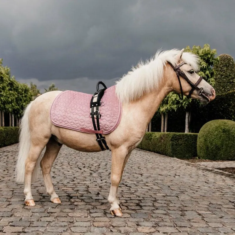 Collection "Minis" Kentucky|Tapis De Selle Poneys*Kentucky Horsewear - Tapis de selle Velvet Jumping Vieux pour minis Rose
