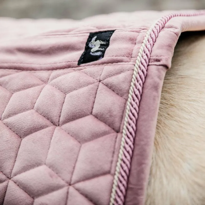 Collection "Minis" Kentucky|Tapis De Selle Poneys*Kentucky Horsewear - Tapis de selle Velvet Jumping Vieux pour minis Rose