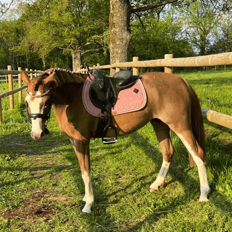 Collection "Minis" Kentucky|Tapis De Selle Poneys*Kentucky Horsewear - Tapis de selle Velvet Jumping Vieux pour minis Rose