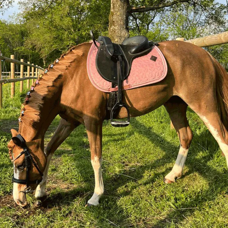 Collection "Minis" Kentucky|Tapis De Selle Poneys*Kentucky Horsewear - Tapis de selle Velvet Jumping Vieux pour minis Rose