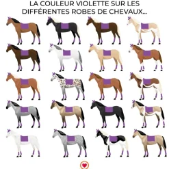 Clearance - Tapis de dressage velvet contrast royal Dressage|Tapis De Dressage