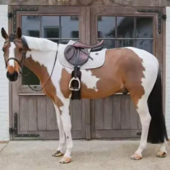 New - Tapis de selle Melange Tapis Cso/ Mixtes|Tapis De Selle