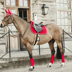 Tapis De Selle|Tapis Cso/ Mixtes*Kentucky Horsewear - Tapis de selle Velvet jumping Rouge