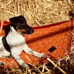 Online - Tapis de dressage Velvet Orange Dressage|Tapis De Dressage
