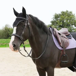 Tapis De Selle|Tapis Cso/ Mixtes*Kentucky Horsewear - Tapis de selle Velvet Jumping Violet