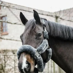 New - Têtière pour licol de transport mouton Accessoires De Licols