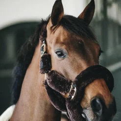 Accessoires De Licols*Kentucky Horsewear - Têtière pour Licol de transport mouton Marron