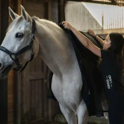 - T-shirt manches courtes mesh femme KLHanna T-Shirts Et Baselayers