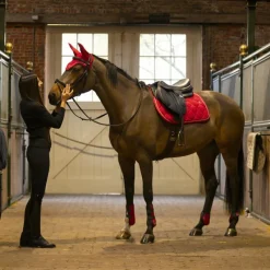 Discount - Guêtres et protège-boulets Elite Sets Guêtres Et Protège-Boulets