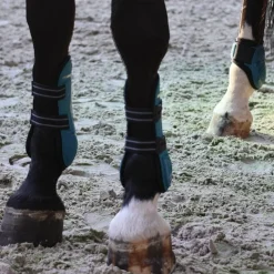 Hot - Guêtres et protège-boulets Elite turquoise Sets Guêtres Et Protège-Boulets