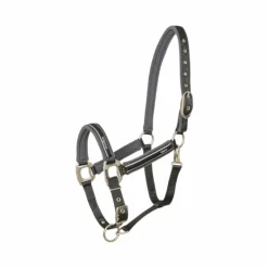 Online - Licol Elegance / gris foncé Licols Poneys