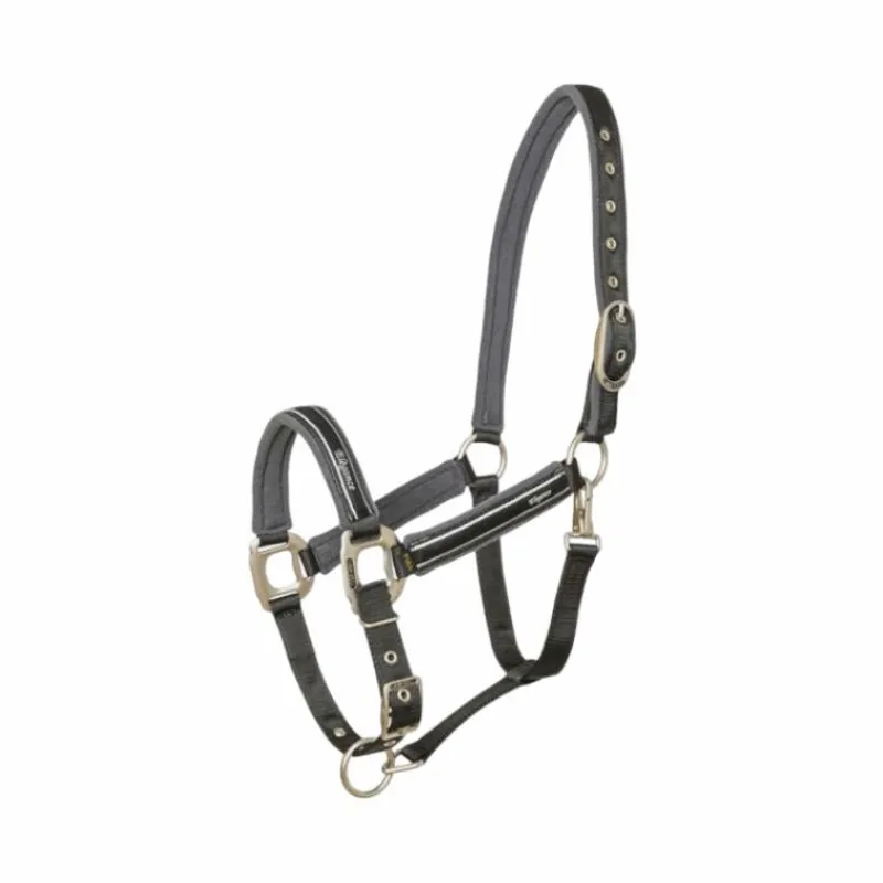 Online - Licol Elegance / gris foncé Licols Poneys