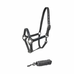 Ensembles Licols Et Longes*Lami-cell - Licol et longe Classical Gris