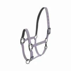 Hot - Licol Midnight mauve Licols Poneys