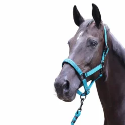 Longes Classiques*Lami-cell - Longe d'attache Charming turquoise Bleu