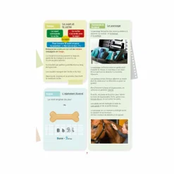 Librairie*Lavauzelle - Cahier d'activités sur le thème du cheval niveau CM1 Rose