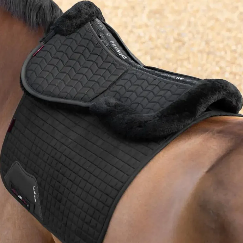 Sale - Amortisseur Prosorb 2 poches Merino + / Amortisseurs