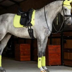 Outlet - Bandes de polo Classic kiwi (x4) Bandes De Polo