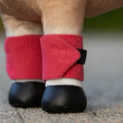 - Bandes de polo pour peluche Toy Pony cranberry Peluches