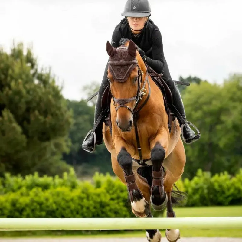 Clearance - Bonnet pour chevaux Crystal Bonnets Pour Chevaux