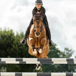 Bonnets Pour Chevaux*LeMieux - Bonnet pour chevaux long Puissance Marron