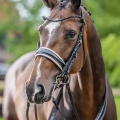 Brides*LeMieux - Bride Kudos / blanc Noir