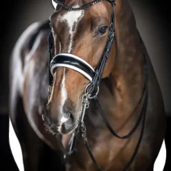Brides*LeMieux - Bride Kudos / blanc Noir