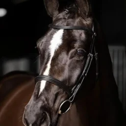 Online - Bridon Arika Cavesson / argent Bridons Poneys|Bridons