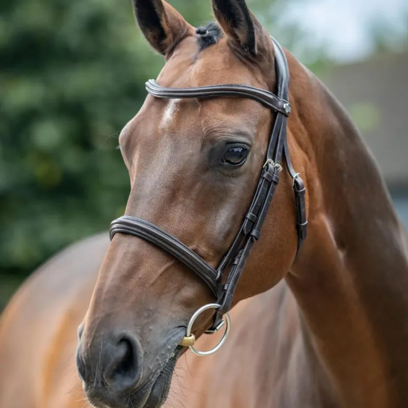 Bridons Poneys|Bridons*LeMieux - Bridon Arika Cavesson / argent Marron