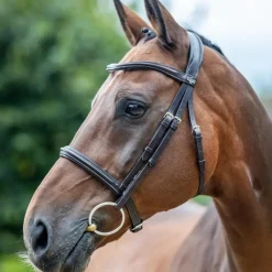 Bridons Poneys|Bridons*LeMieux - Bridon Arika Cavesson / argent Marron