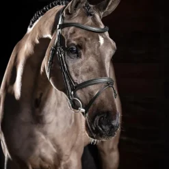 Bridons Poneys|Bridons*LeMieux - Bridon Arika Flash / argent Noir