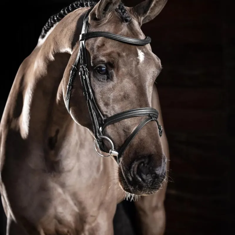 Bridons Poneys|Bridons*LeMieux - Bridon Arika Flash / argent Noir