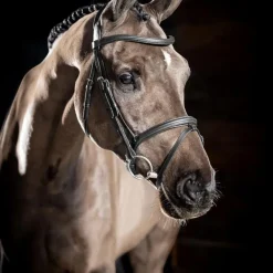 Bridons Poneys|Bridons*LeMieux - Bridon Arika Flash / argent Noir