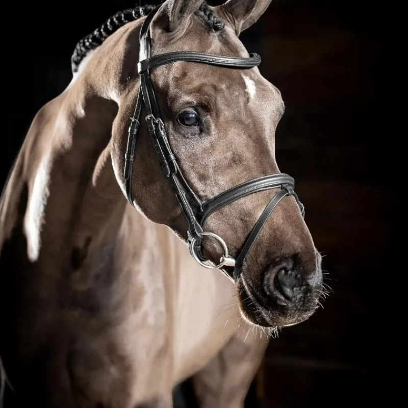Bridons Poneys|Bridons*LeMieux - Bridon Arika Flash / argent Noir