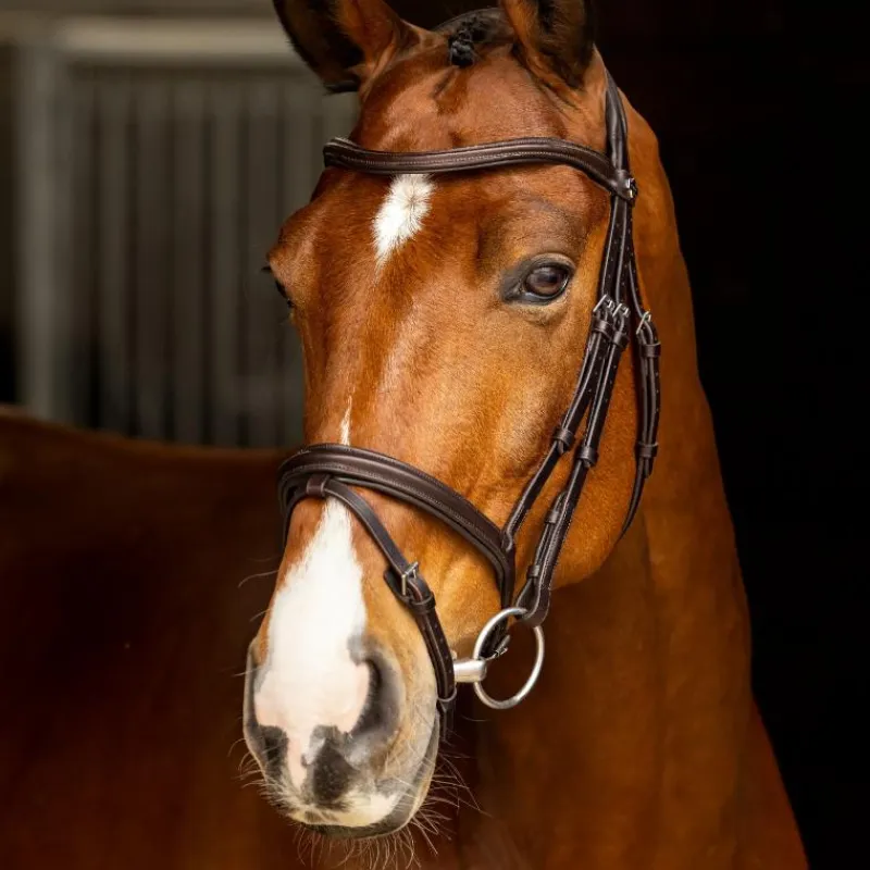 New - Bridon Arika Flash / argent Bridons Poneys|Bridons