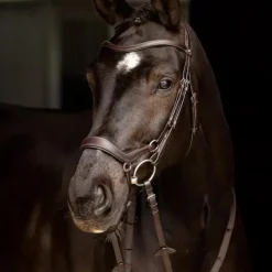 Bridons Poneys|Bridons*LeMieux - Bridon Arika muserolle basse / argent Marron