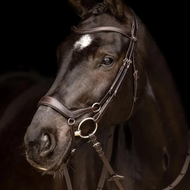 Bridons Poneys|Bridons*LeMieux - Bridon Arika muserolle basse / argent Marron