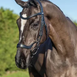 Sale - Bridon Arika muserolle basse / argent Bridons Poneys|Bridons