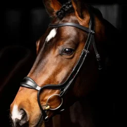 Bridons Poneys|Bridons*LeMieux - Bridon Arika muserolle anatomique / argent Noir