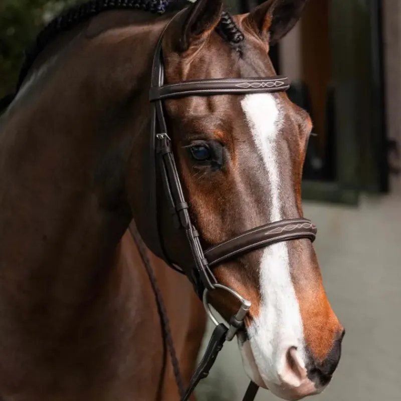 New - Bridon avec rênes Hunter havane/ argent Bridons Poneys|Bridons