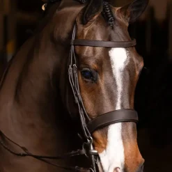 New - Bridon avec rênes Hunter havane/ argent Bridons Poneys|Bridons