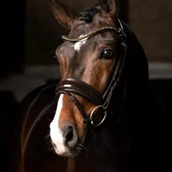 Outlet - Bridon de dressage Kudos Patent Bridons Poneys|Bridons
